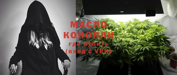 гидропоника Горнозаводск