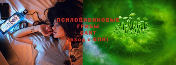 mix Горняк