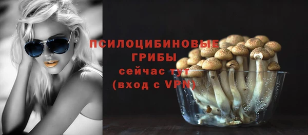 гидропоника Горнозаводск