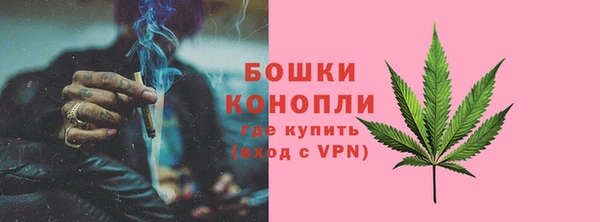 гидропоника Горнозаводск