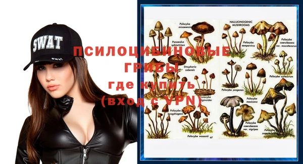 гидропоника Горнозаводск
