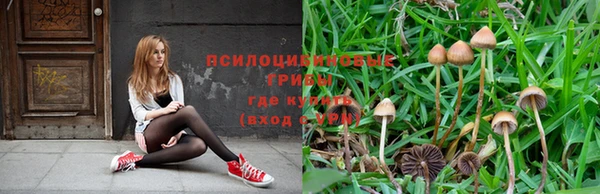 гидропоника Горнозаводск