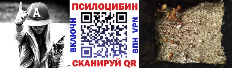 Купить закладки  Петухово  Псилоцибиновые грибы GOLDEN TEACHER 